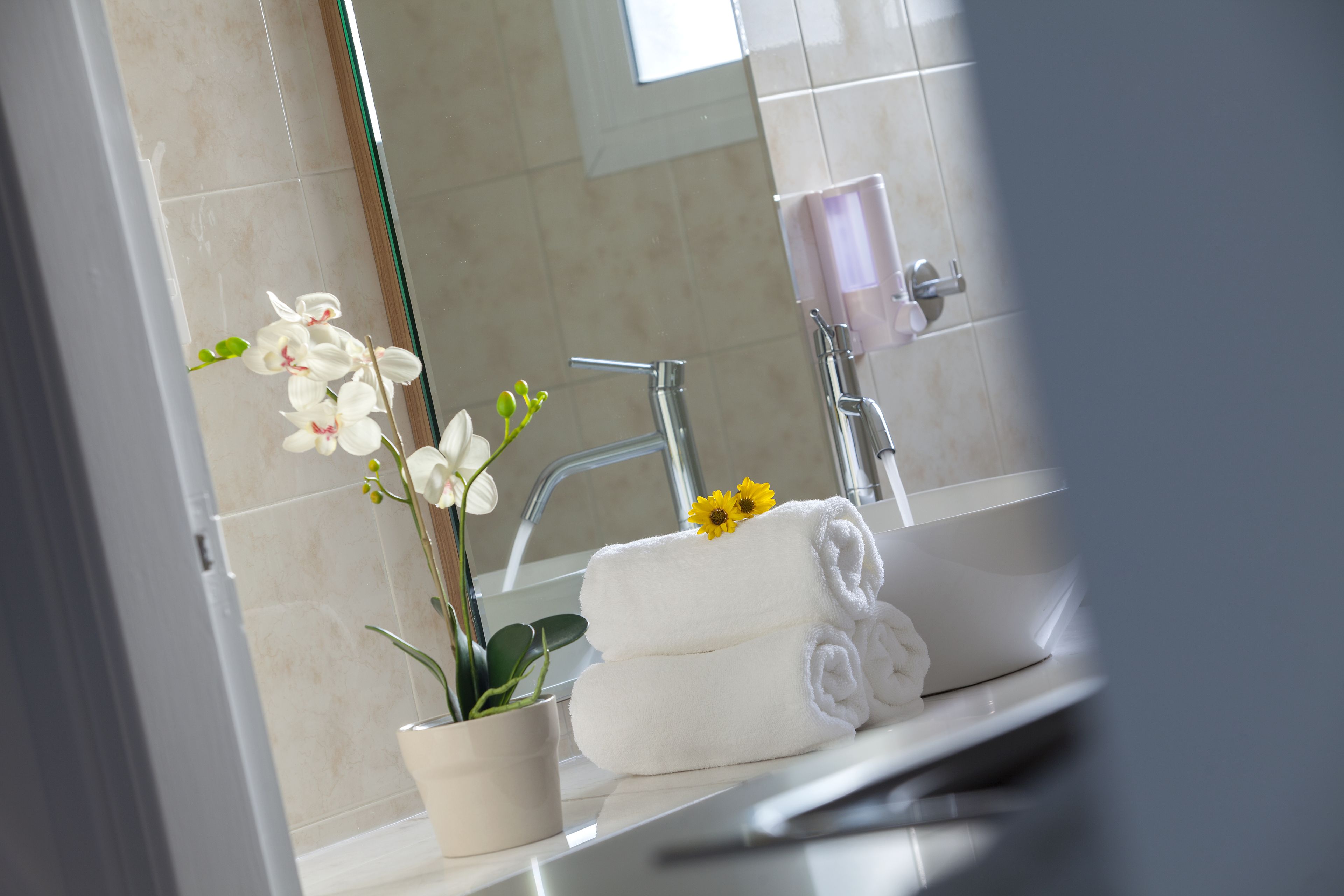 A bathroom with a sink, mirror, and a potted orchid.