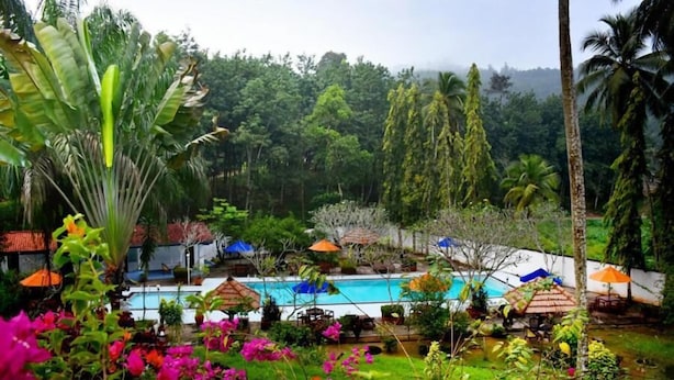 Una piscina rodeada de exuberante follaje y plantas tropicales.