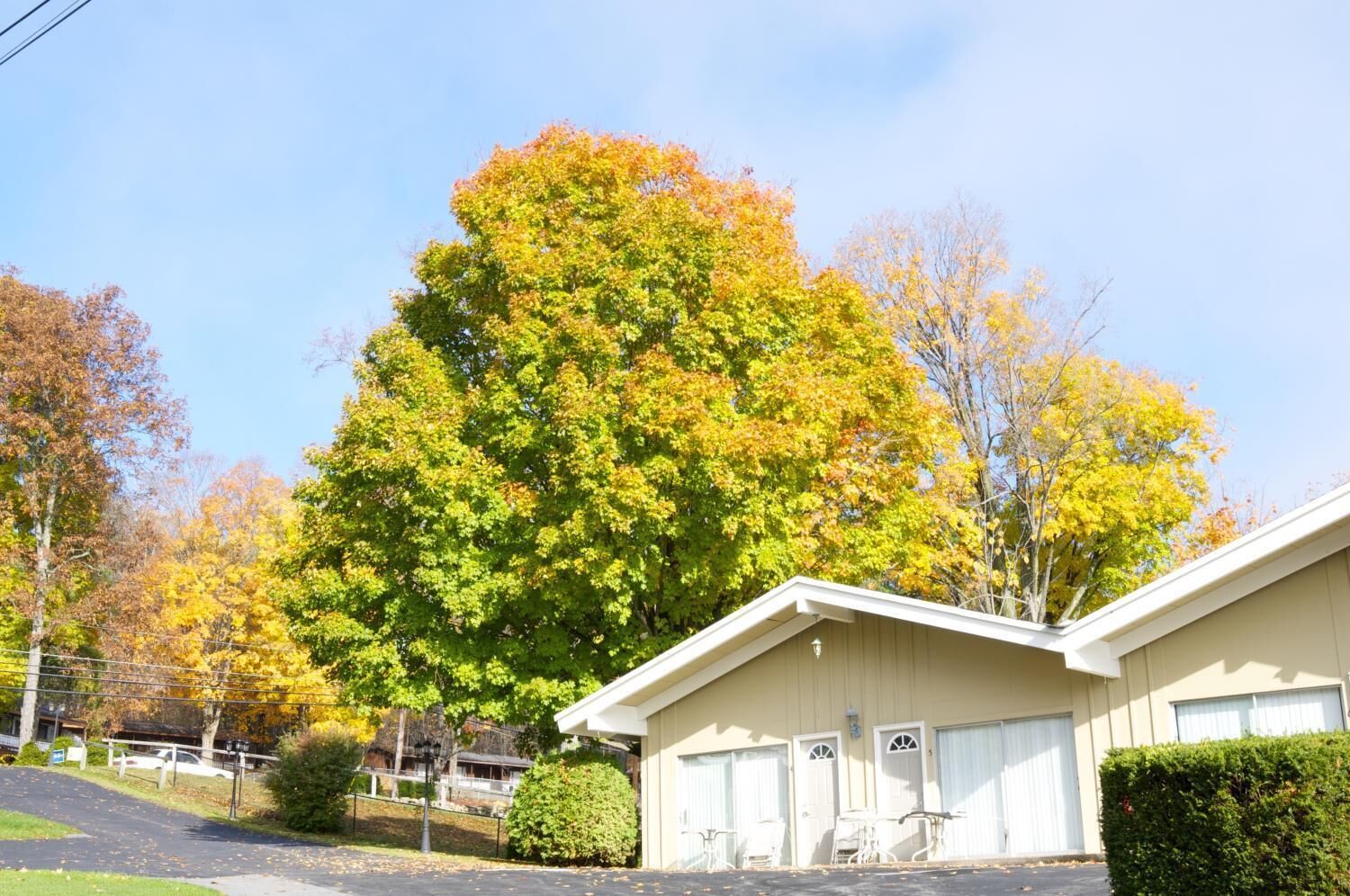 Photo - Tea Island Resort