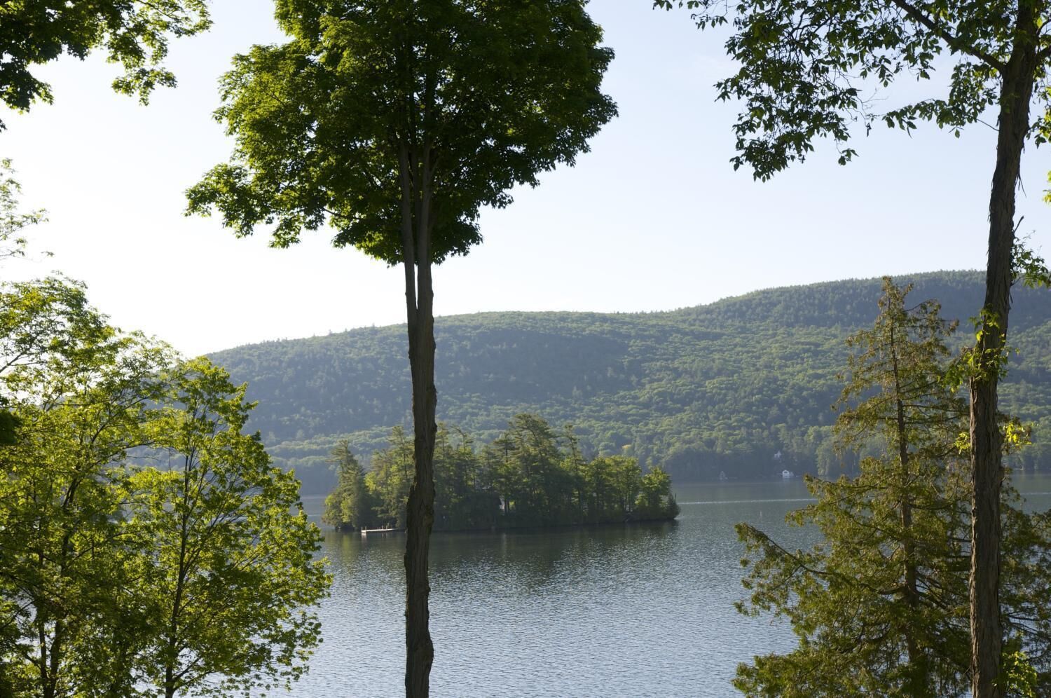 Photo - Tea Island Resort