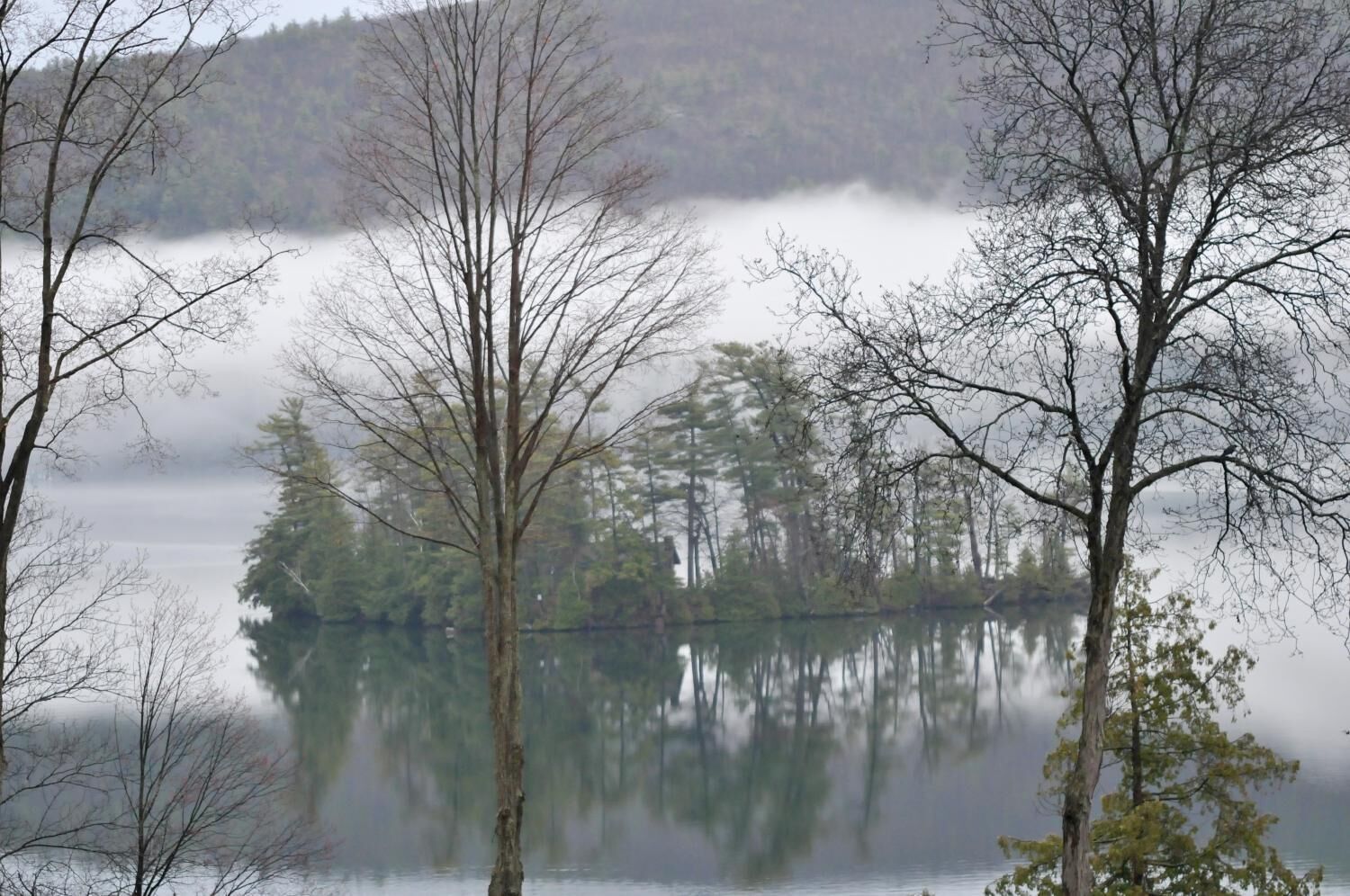 Photo - Tea Island Resort