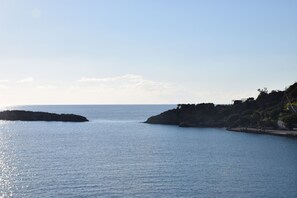 واجهة المنشأة