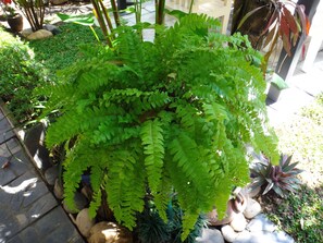 Vista desde la propiedad