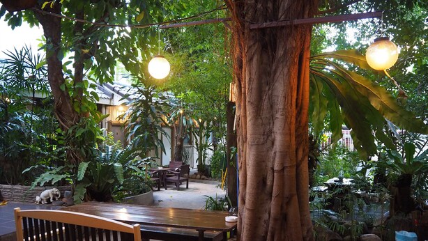 An outdoor seating area with a wooden bench and table, surrounded by lush greenery and trees. - Stay With Me Guesthouse (Chiang Mai)