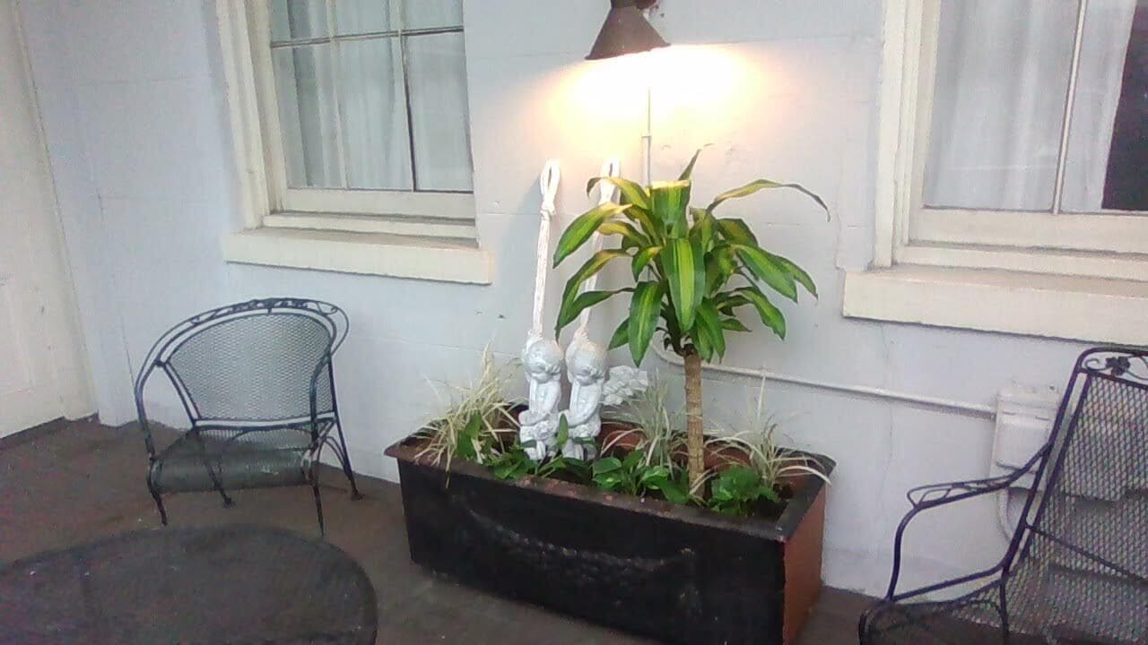 Photo - Lafitte Hotel & Bar
