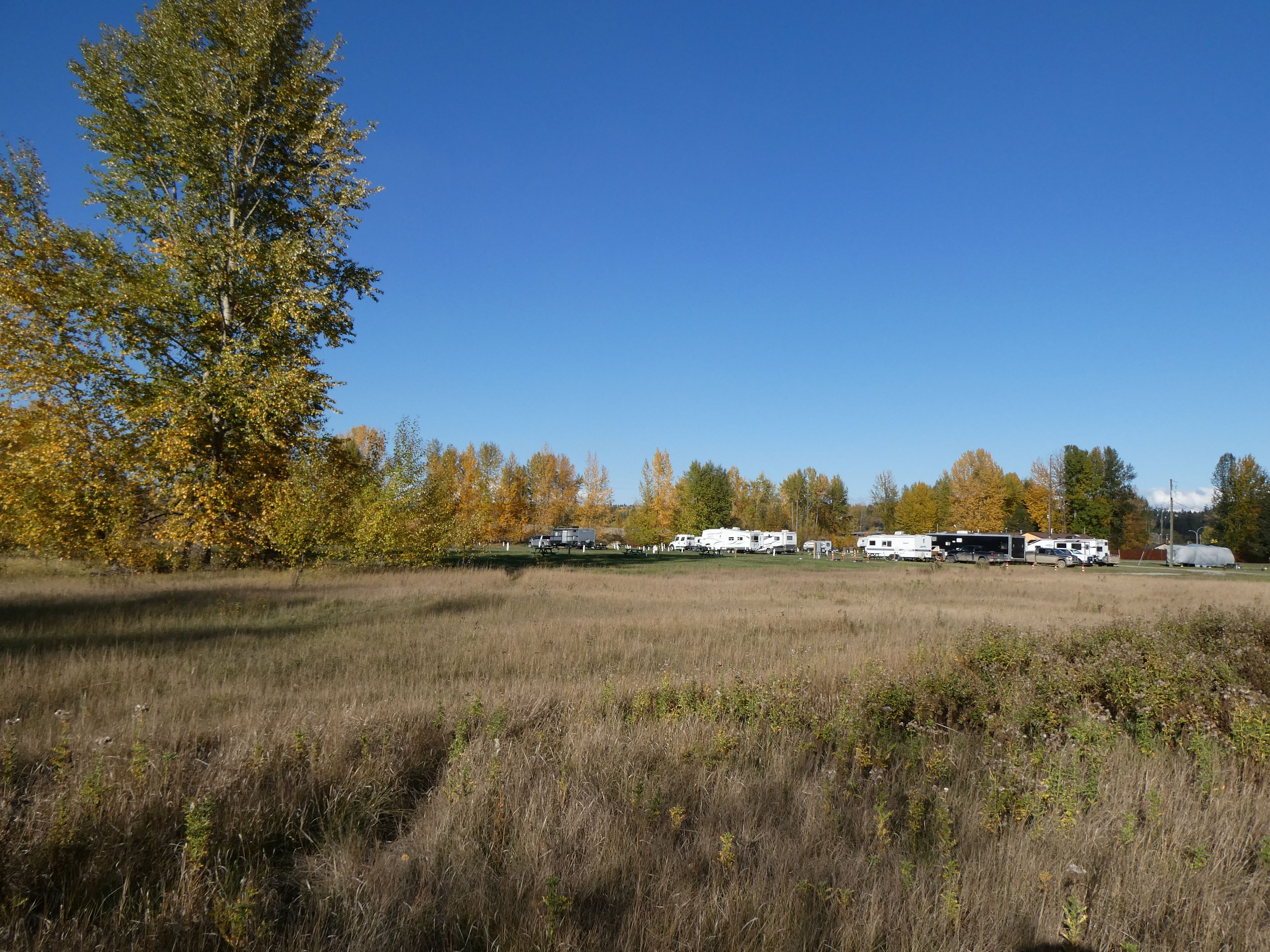 A field with several RVs parked, surrounded by trees with autumn foliage.