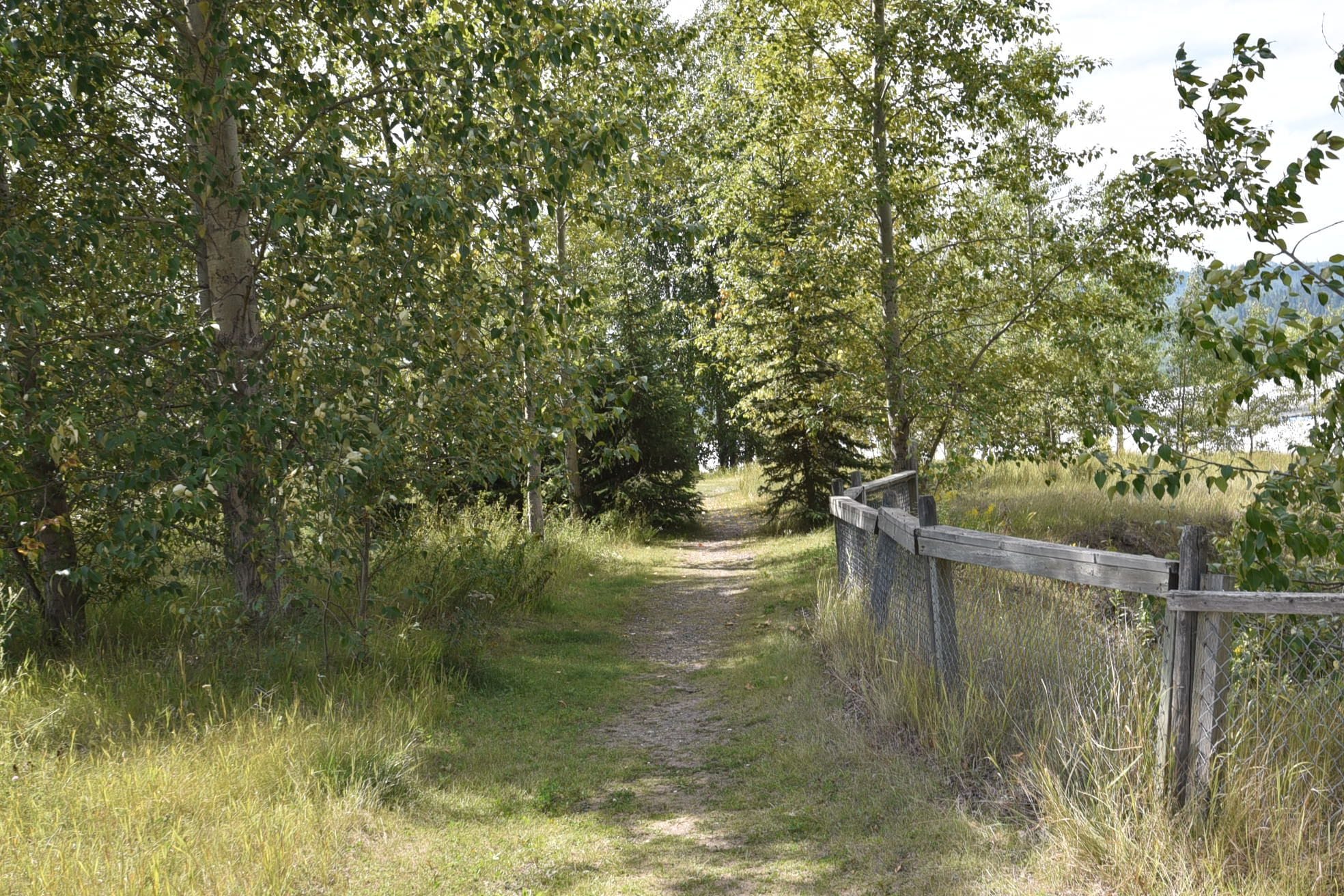 Un étroit sentier de terre, bordé d’une végétation dense et d’une clôture en bois.