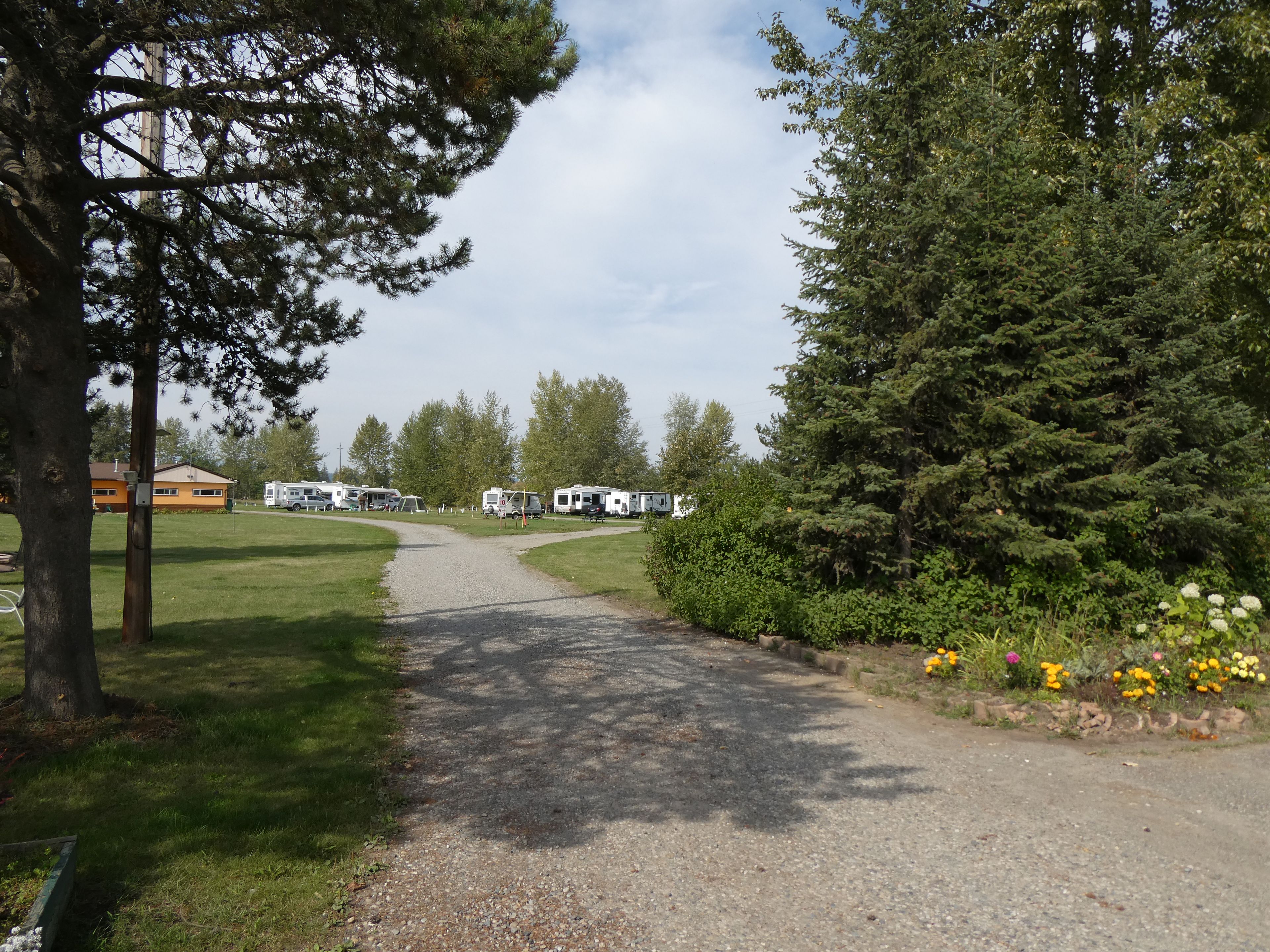 Un chemin de gravier mène à des camping-cars stationnés dans un terrain de camping entouré d’arbres et d’herbe.