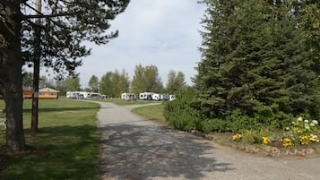 A gravel path leading to RVs parked in a campsite surrounded by trees and grass.