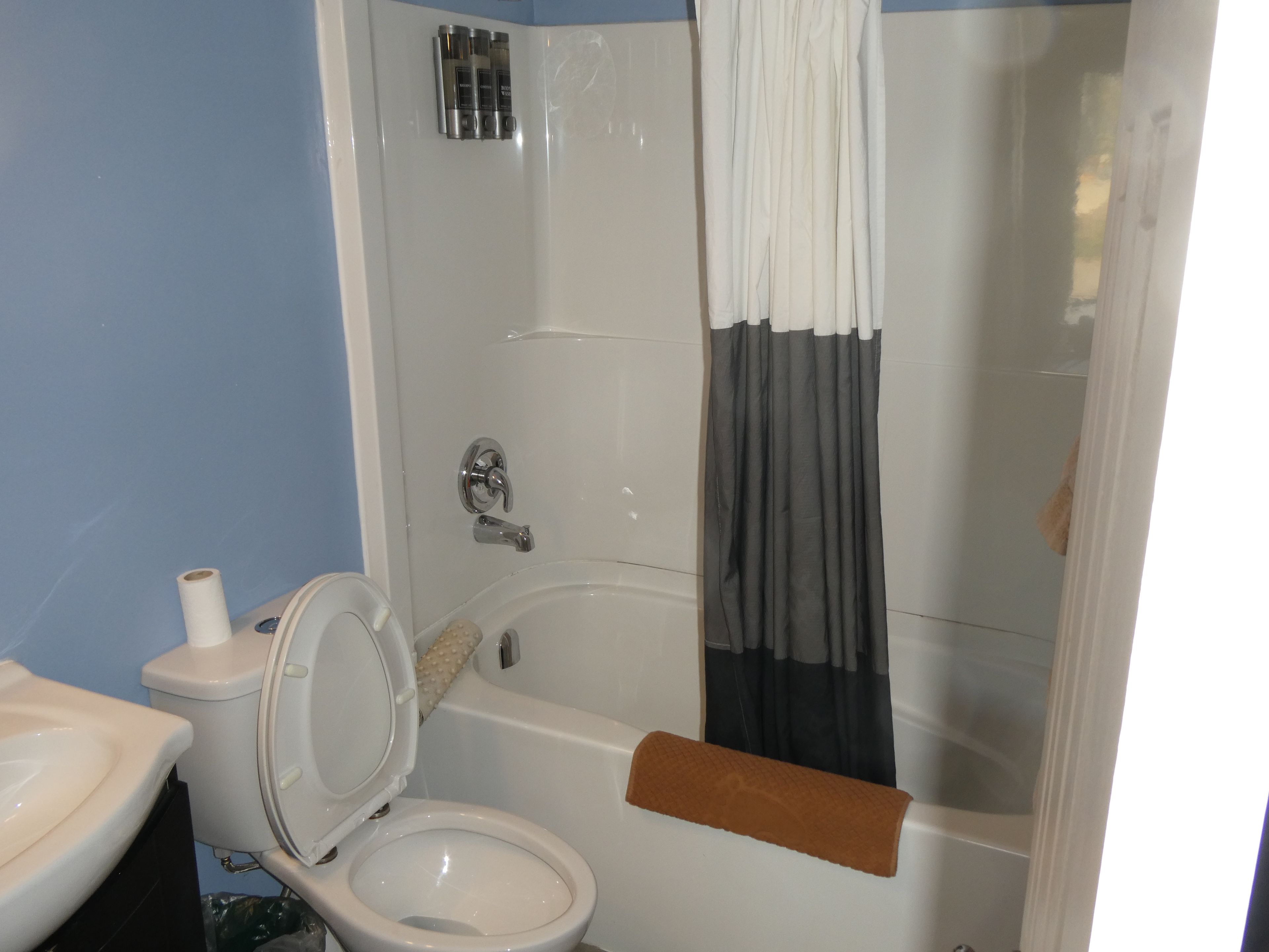 A bathroom with a toilet, a bathtub, and a shower curtain.