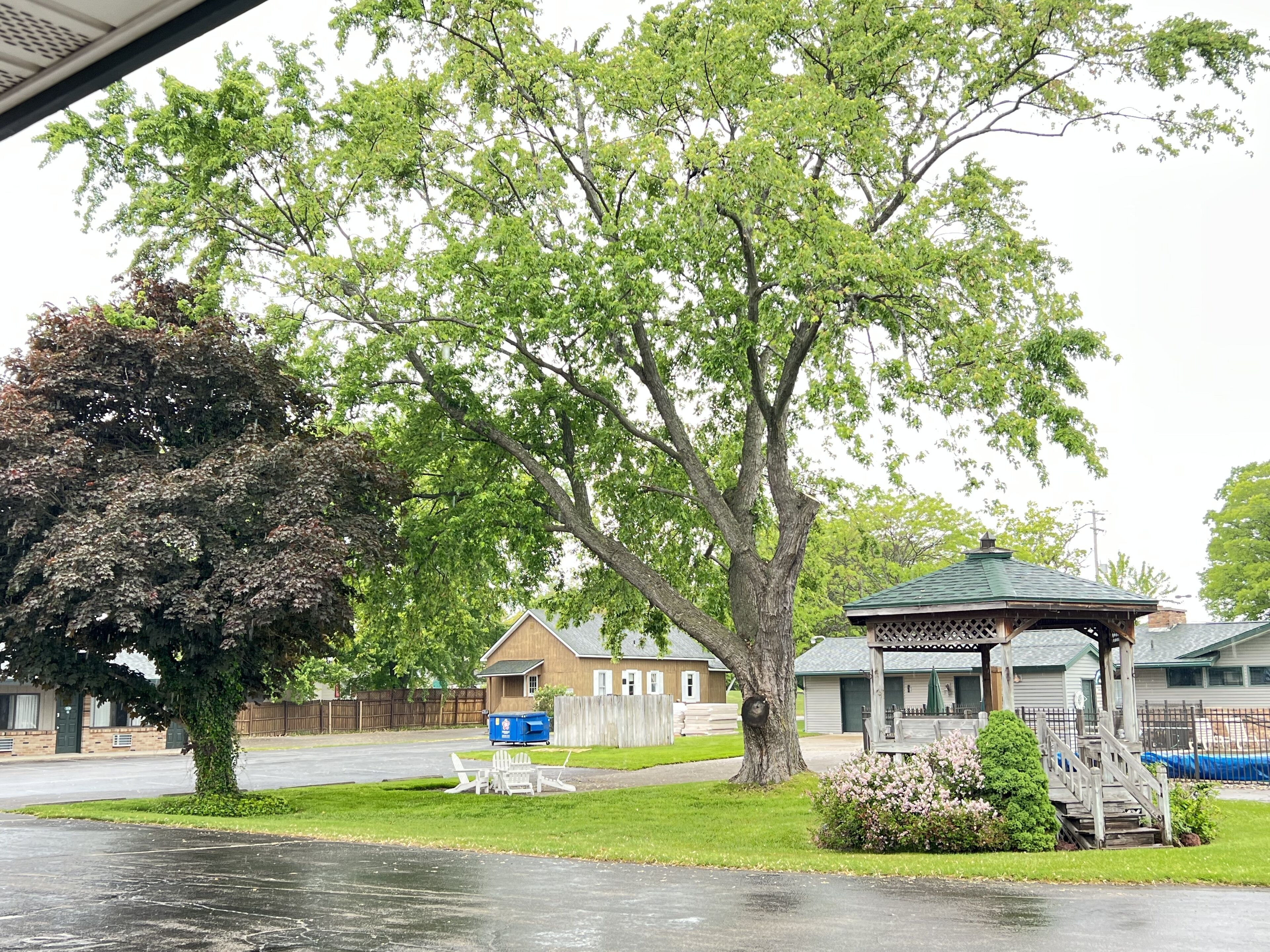 Un quartier résidentiel avec un grand arbre, un belvédère et une maison dont le garage est visible.