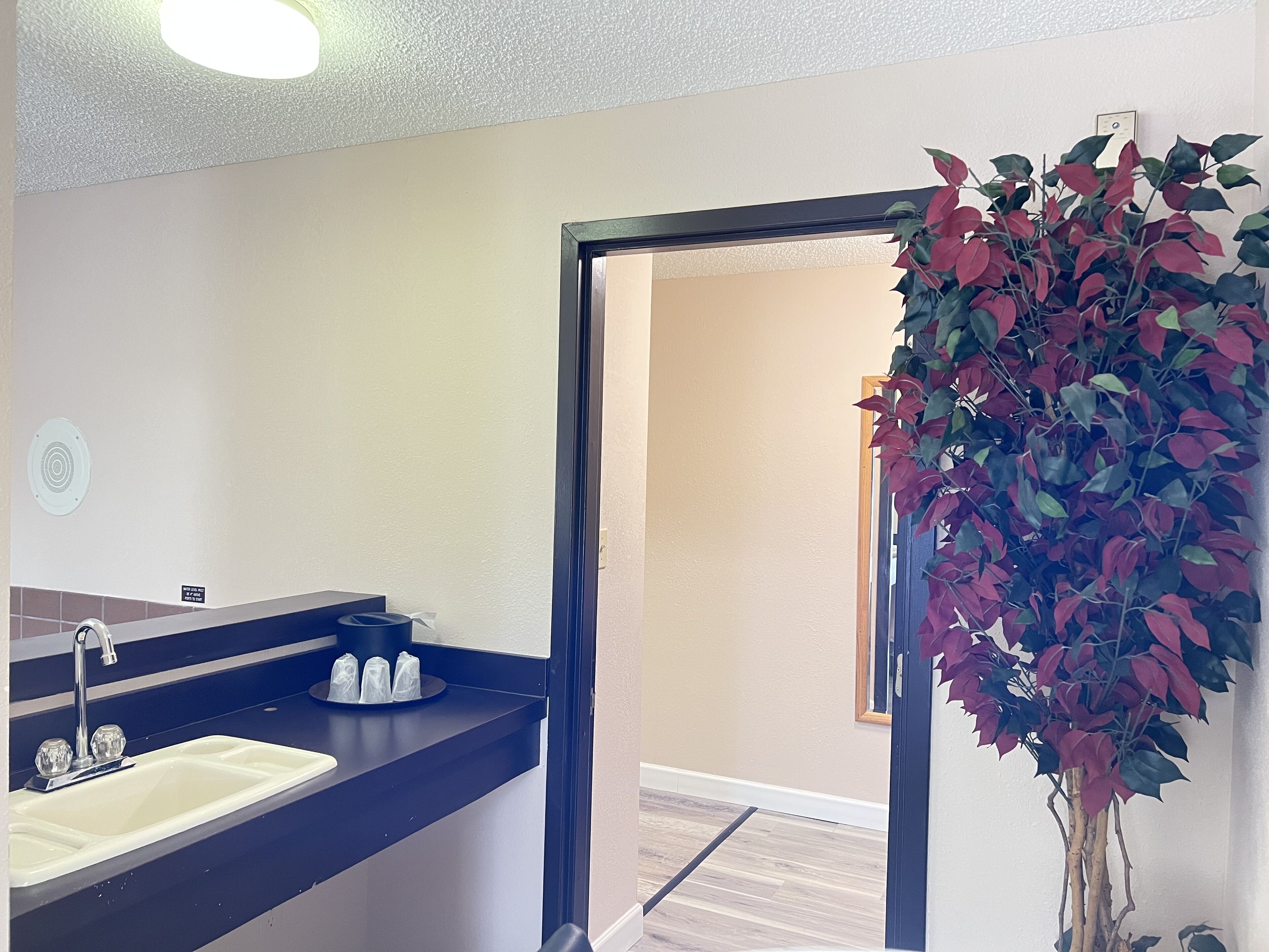 Un baño con lavamanos, espejo y planta en maceta.