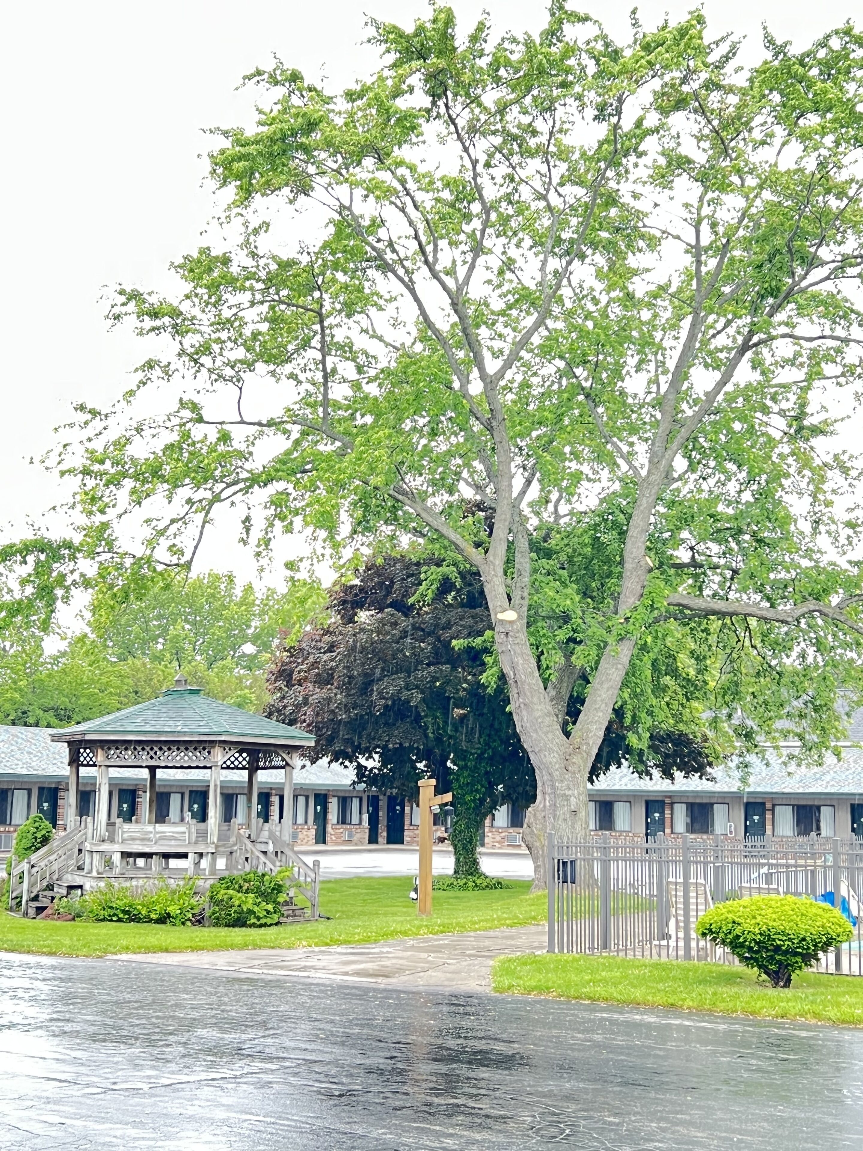 A tree-lined street with a gazebo and a row of motel-style buildings.