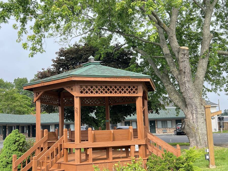 A wooden gazebo with a green roof, surrounded by lush greenery and a large tree.
