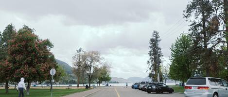 A parking lot with cars, a pedestrian crossing, and a stop sign.