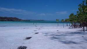Ein Strand mit Fußspuren, die zu einer von Bäumen gesäumten Gegend führen.