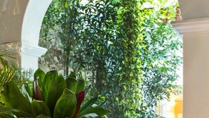 A glass table with a plant in the foreground, an indoor pool, and a view of greenery through an archway. - Hotel Casa Don Sancho by Mustique (Cartagena)