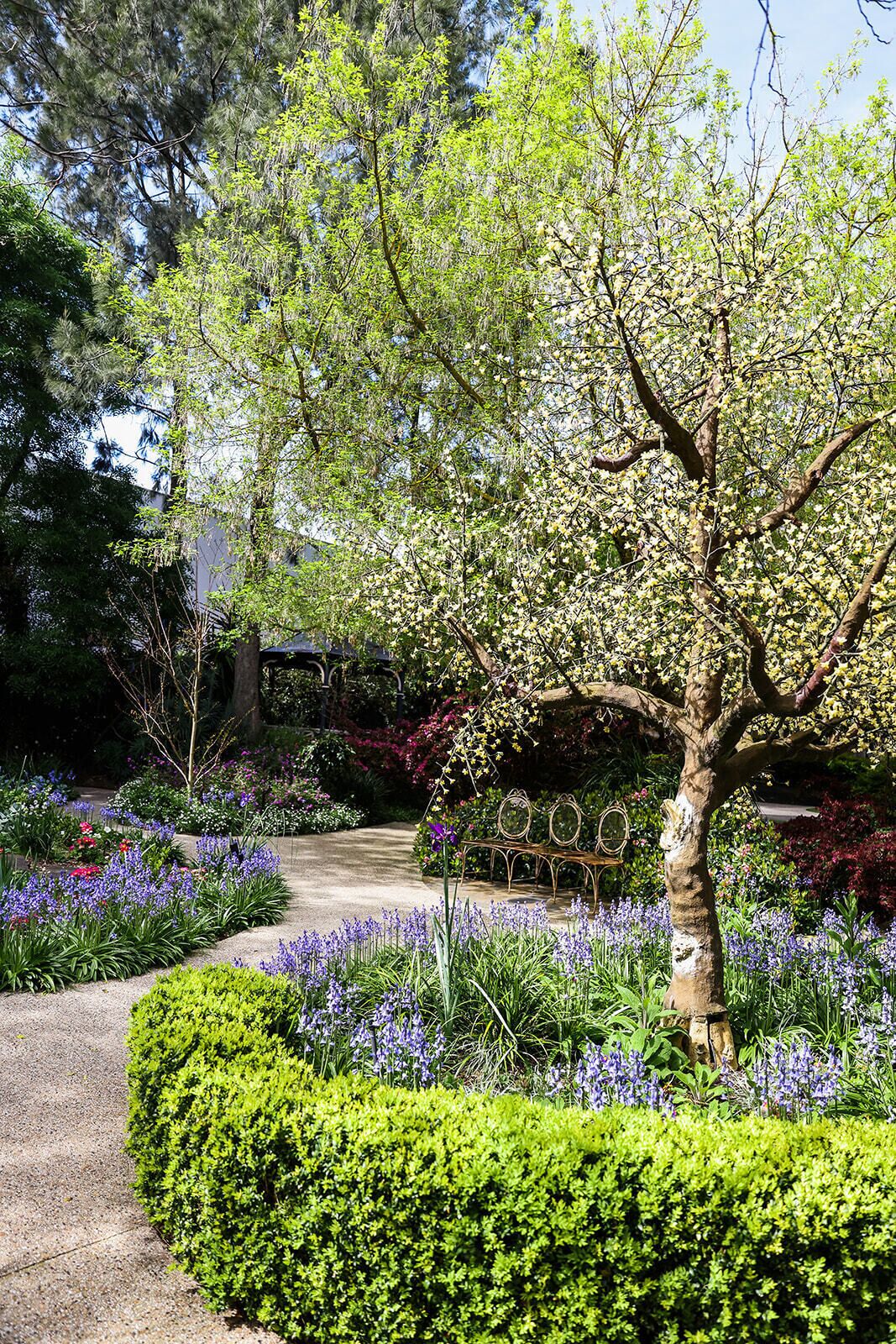 A garden with a variety of plants and a bench.