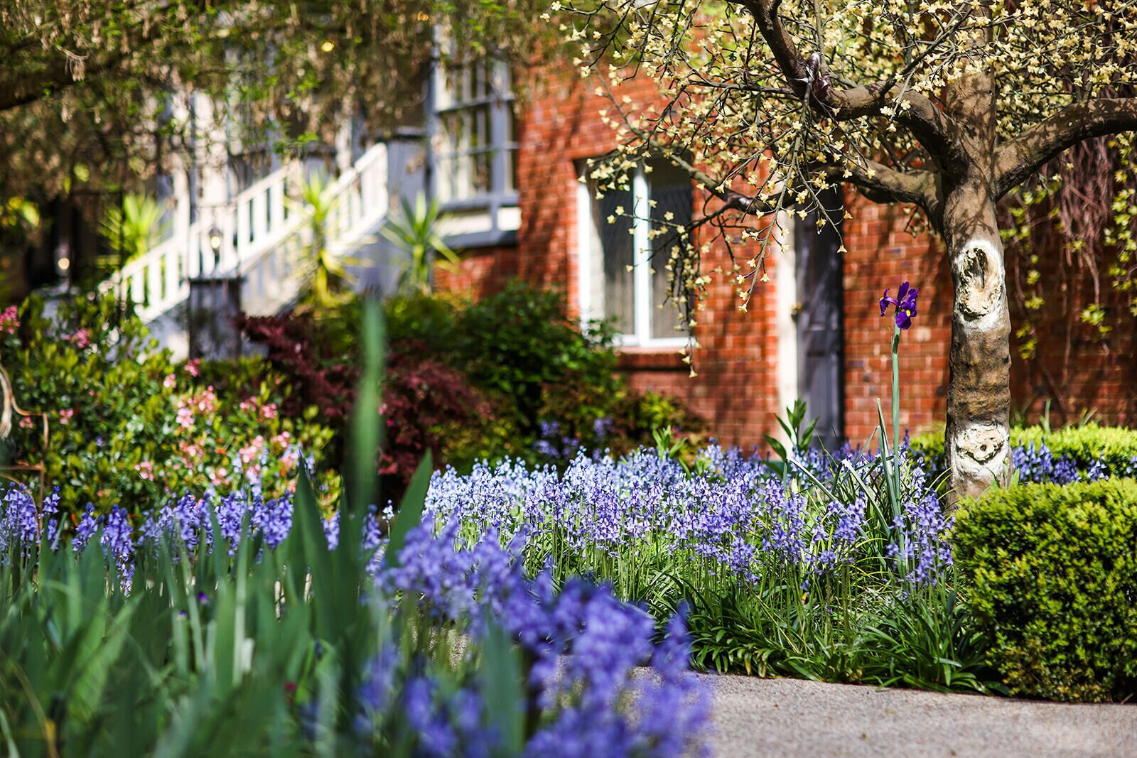Photo - Elizabethan Lodge