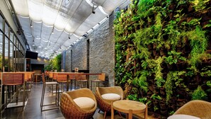 Un espacio interior moderno con mobiliario de mimbre, una pared de piedra con plantas y un dosel de tela translúcida en el techo.