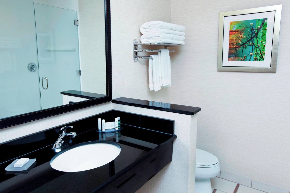 A modern bathroom with a black sink, a large mirror, a glass shower enclosure, and a toilet.