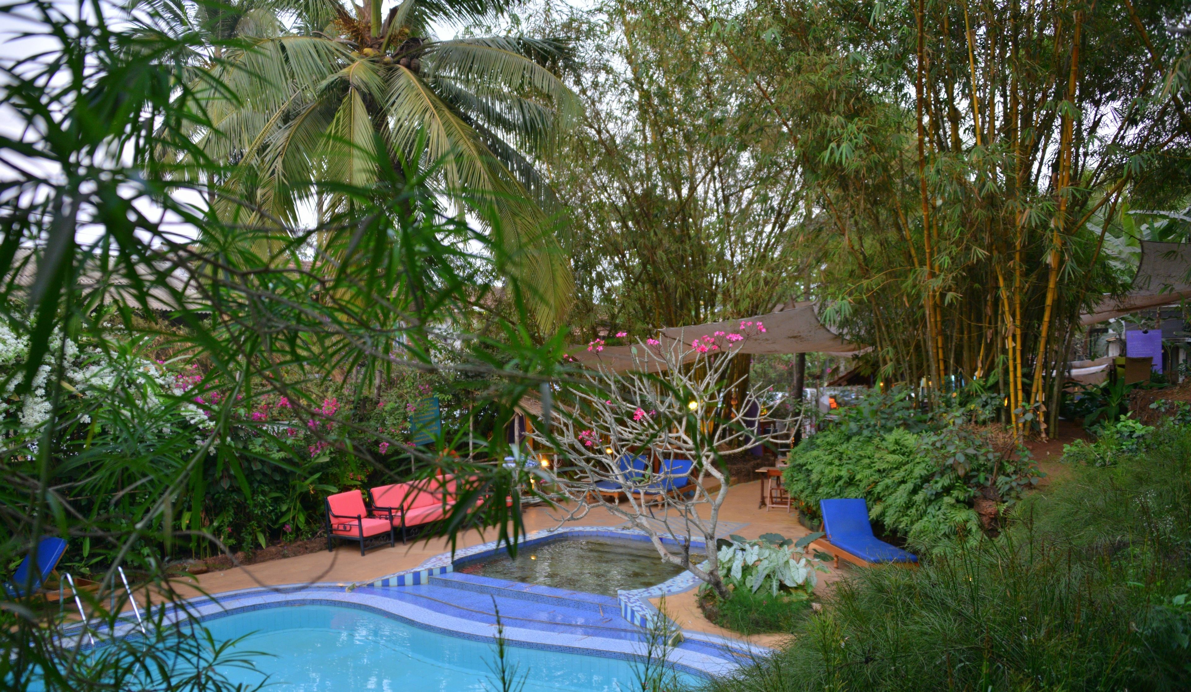 outdoor pool, pool loungers