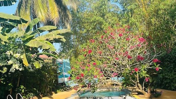 Hồ bơi ngoài trời, ghế dài tắm nắng