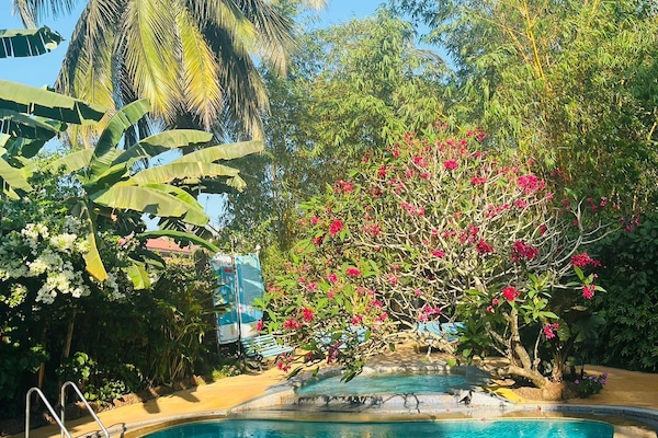 Piscine extérieure, chaises longues