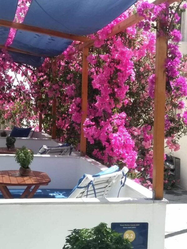 An outdoor seating area with wooden tables and chairs, surrounded by vibrant pink bougainvillea flowers.
