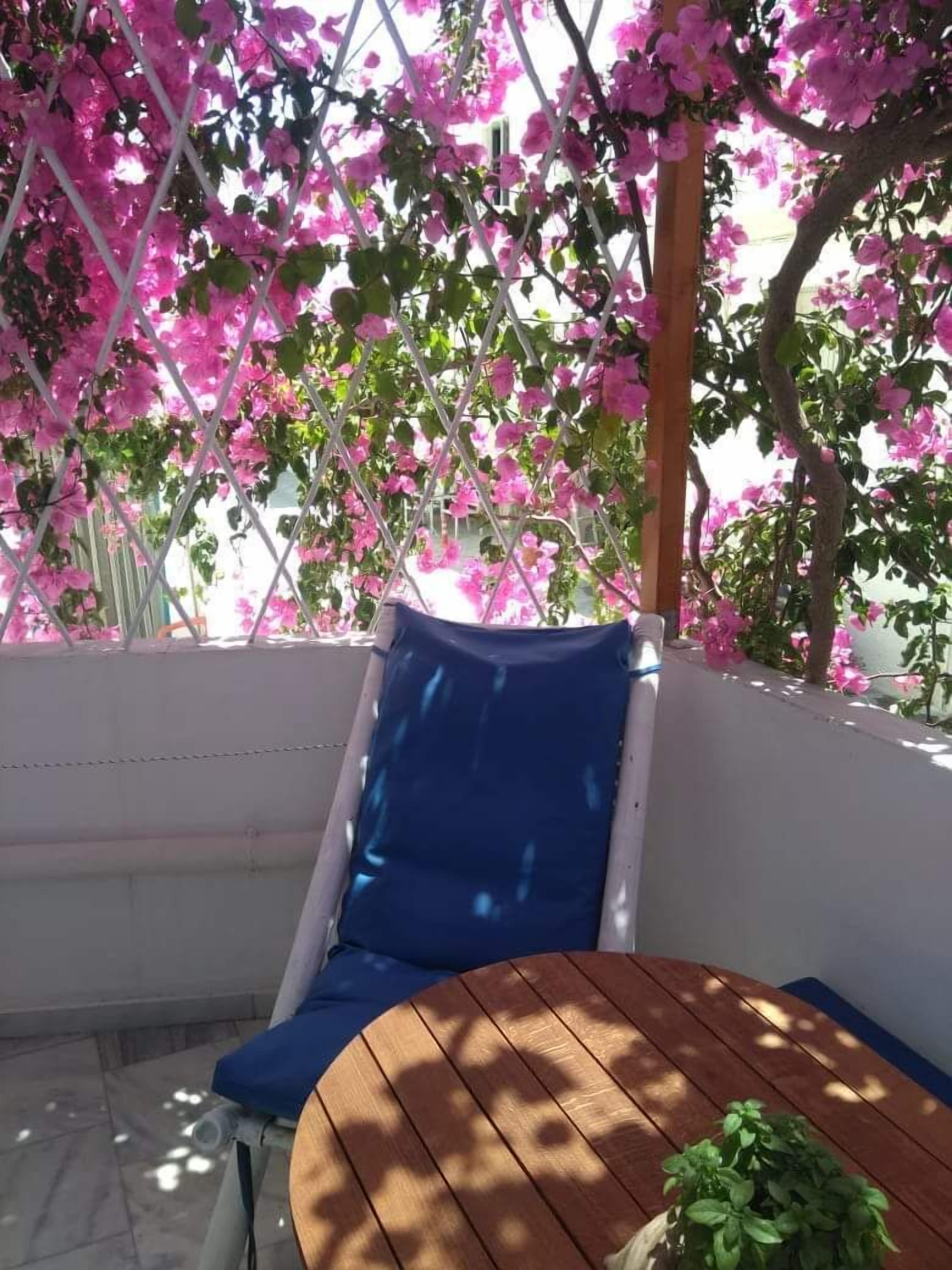 Photo - Doron Hotel Delfini