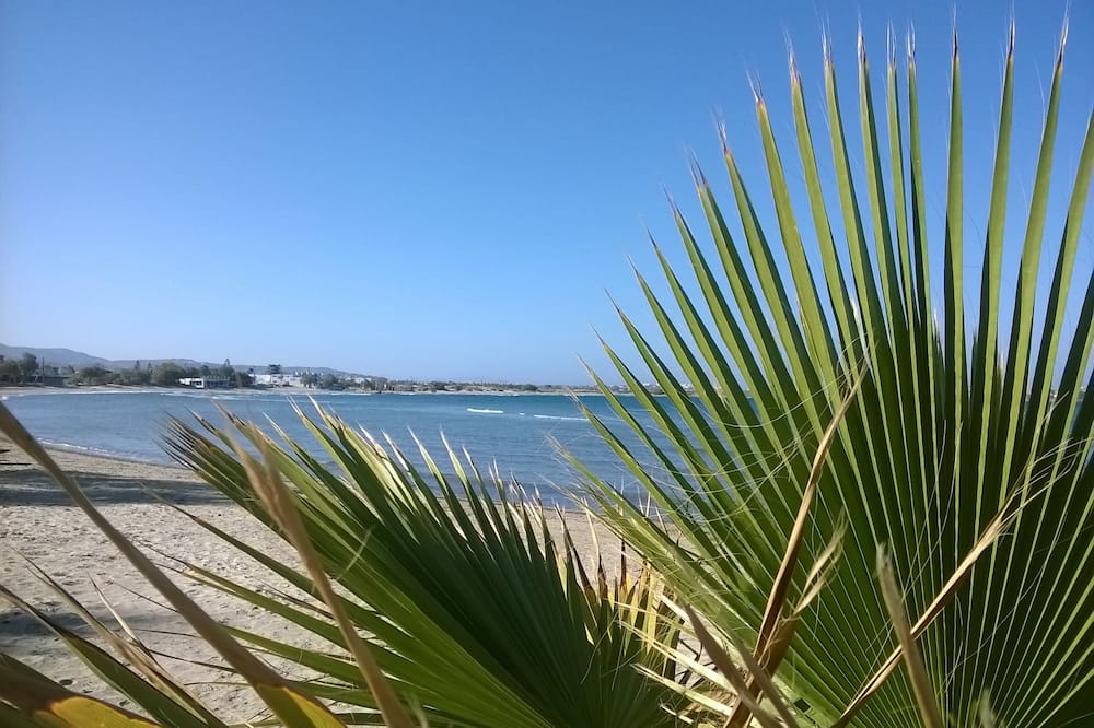 Doron Hotel Delfini