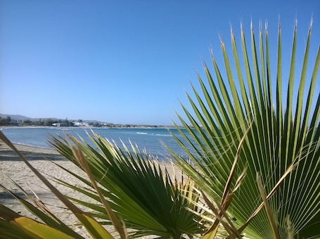 View from property. Doron Hotel Delfini