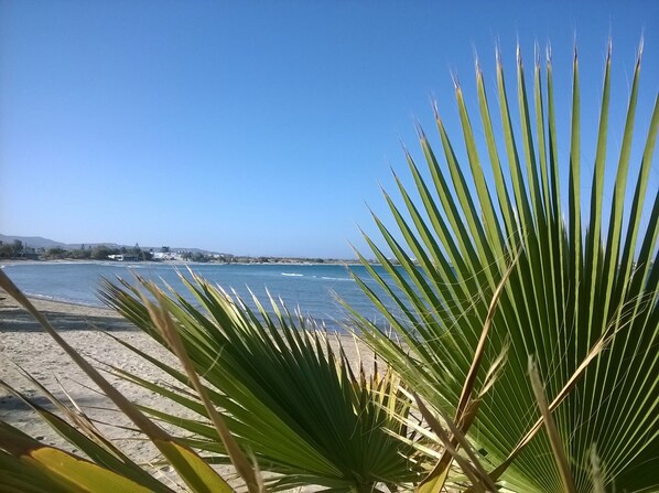 Vista desde la propiedad