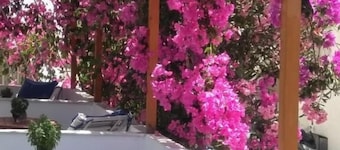 Doron Hotel Delfini