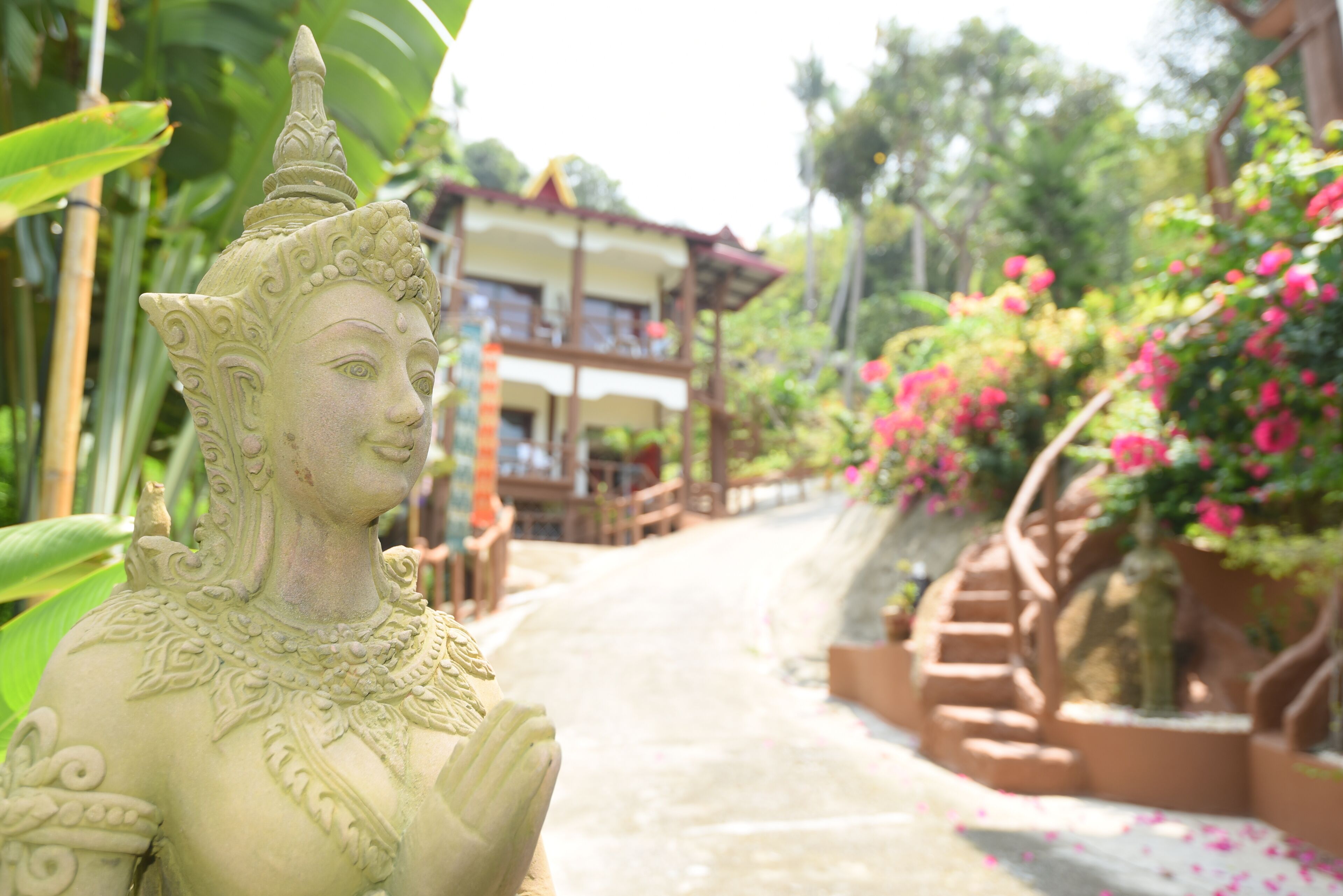 Foto - Moonstone Studio