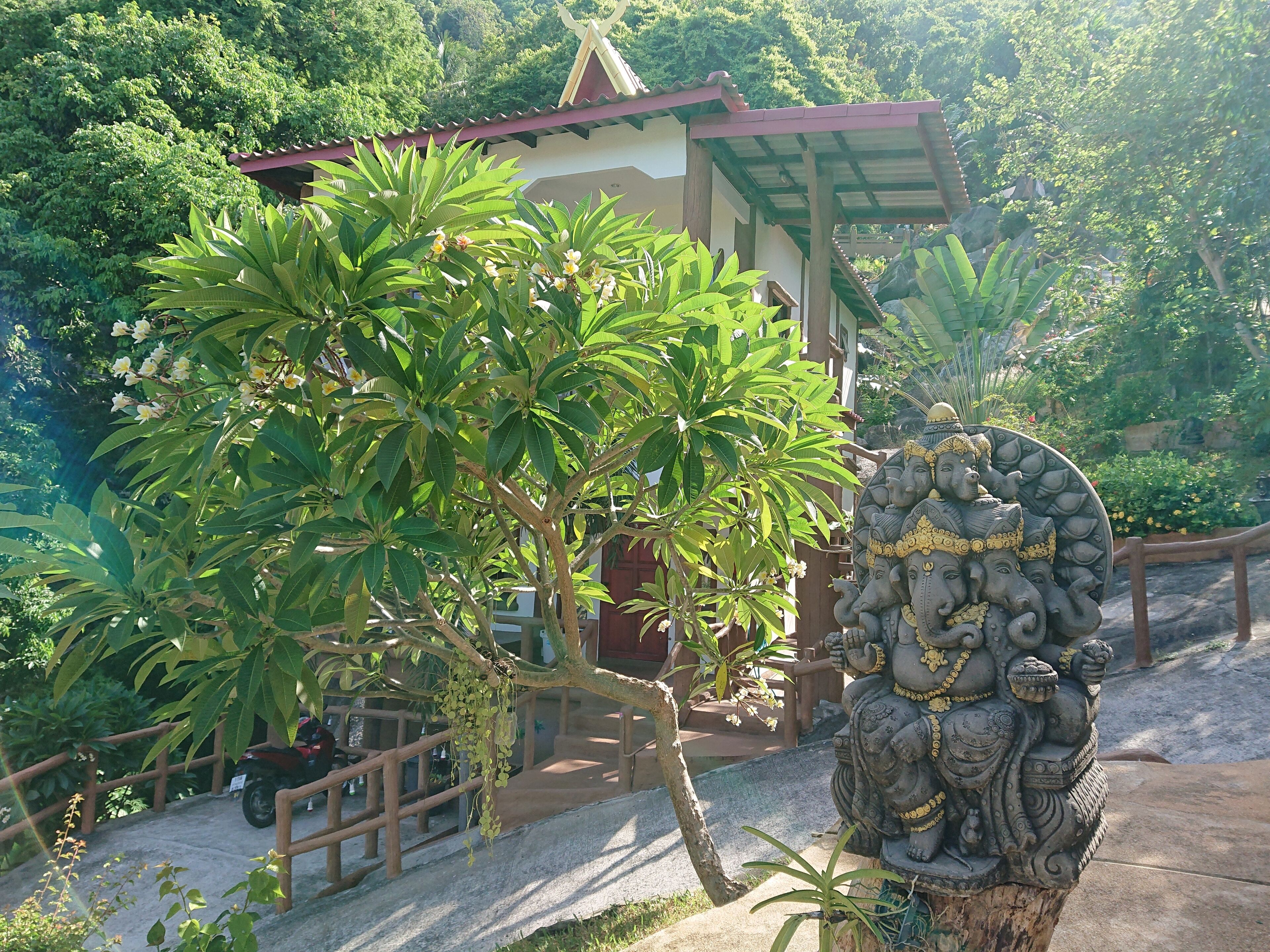 Foto - Moonstone Studio