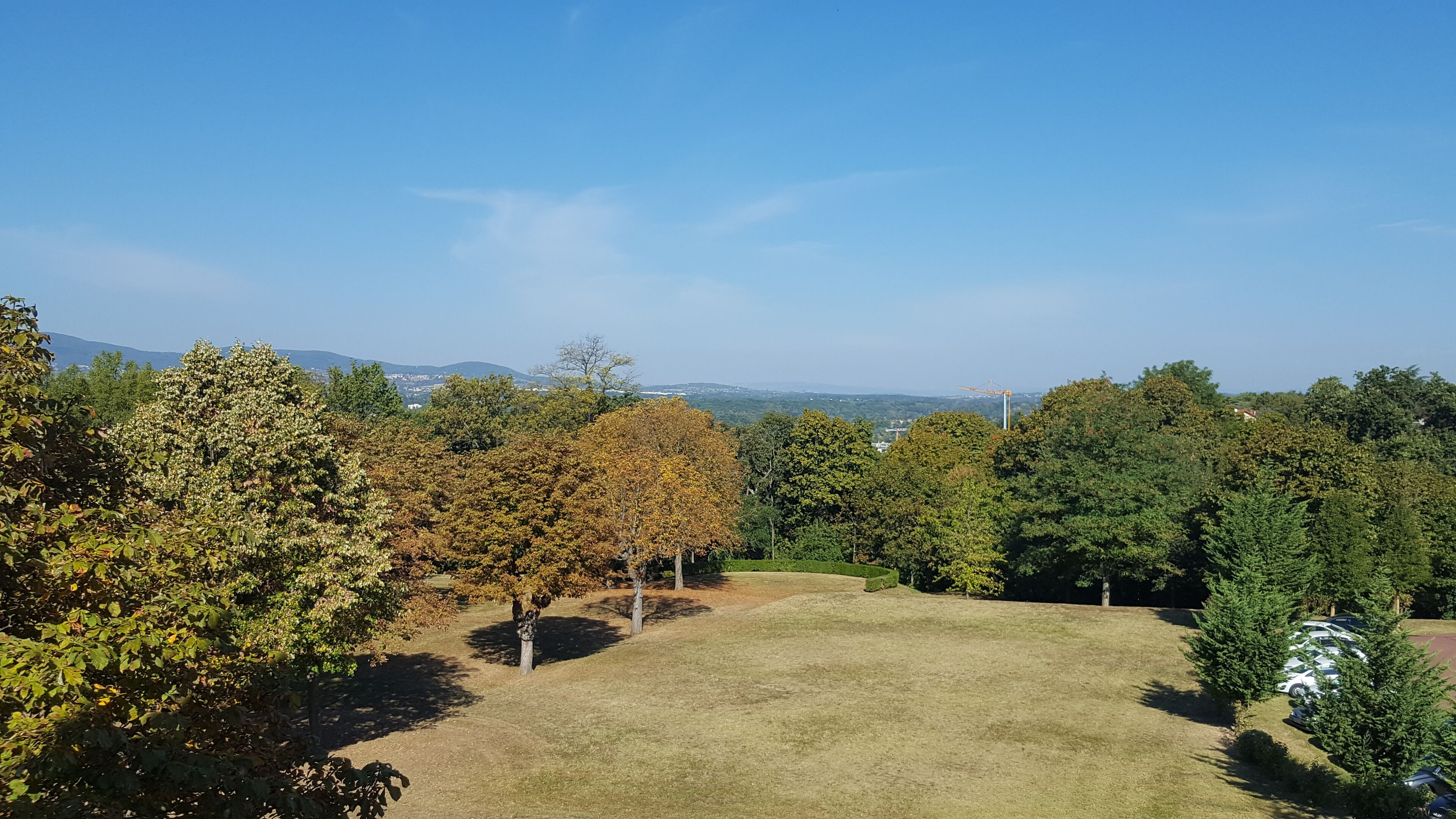 Une zone herbeuse avec des arbres et une vue dégagée sur les bâtiments situés au loin.