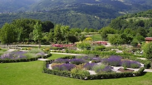 Un jardín ajardinado con parterres de lavanda, un sendero y vistas a montañas al fondo.