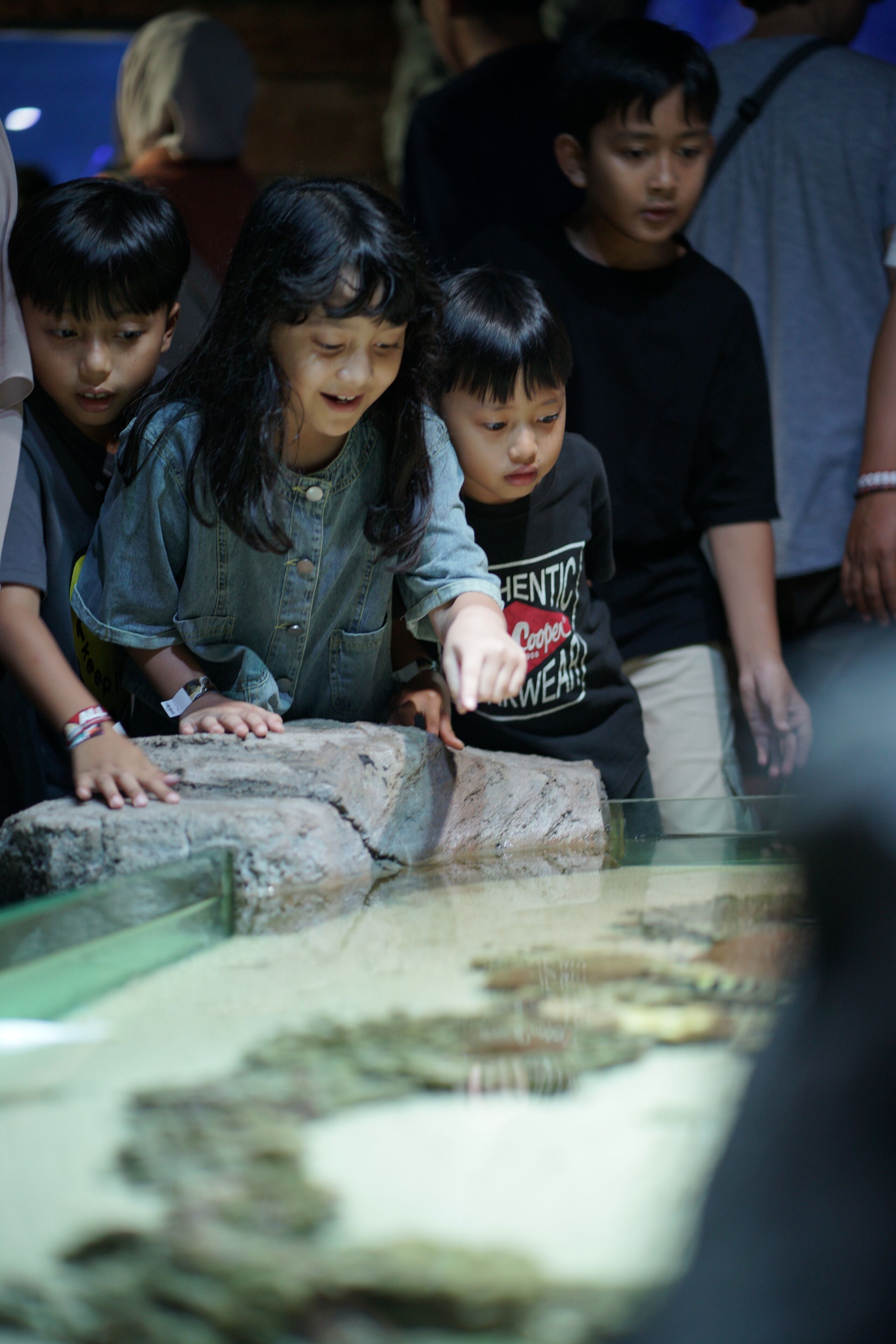 A group of people observing an exhibit with a glass barrier.