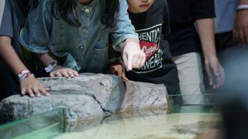 A group of people observing an exhibit with a glass barrier.