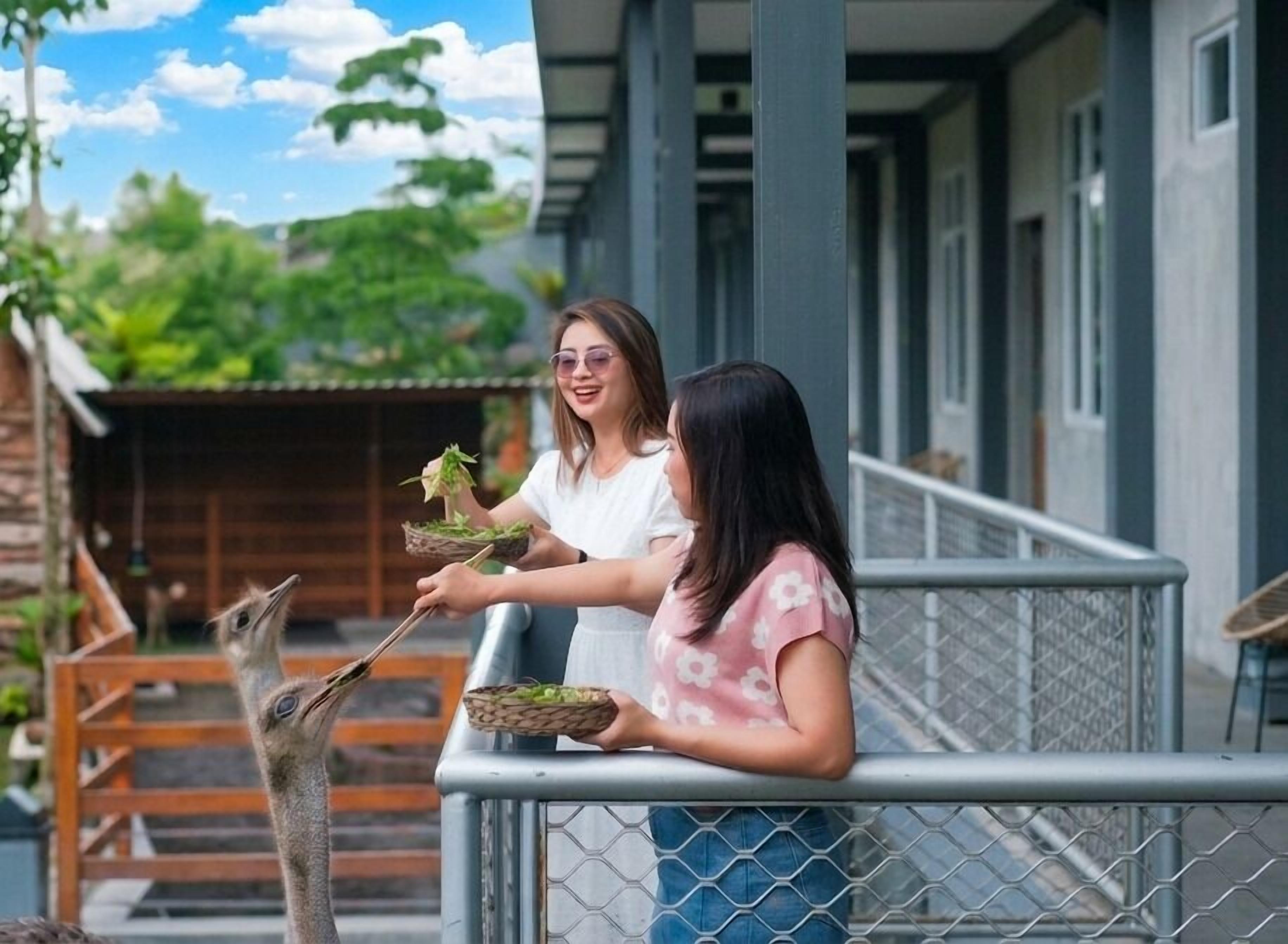 A balcony with a metal railing, a wooden fence, and a view of greenery and a building in the background.