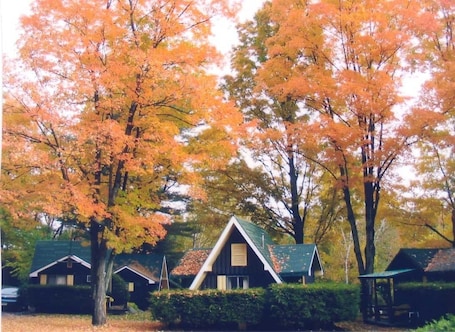 住宿场地. 琥珀灯笼汽车旅馆及小屋出租酒店