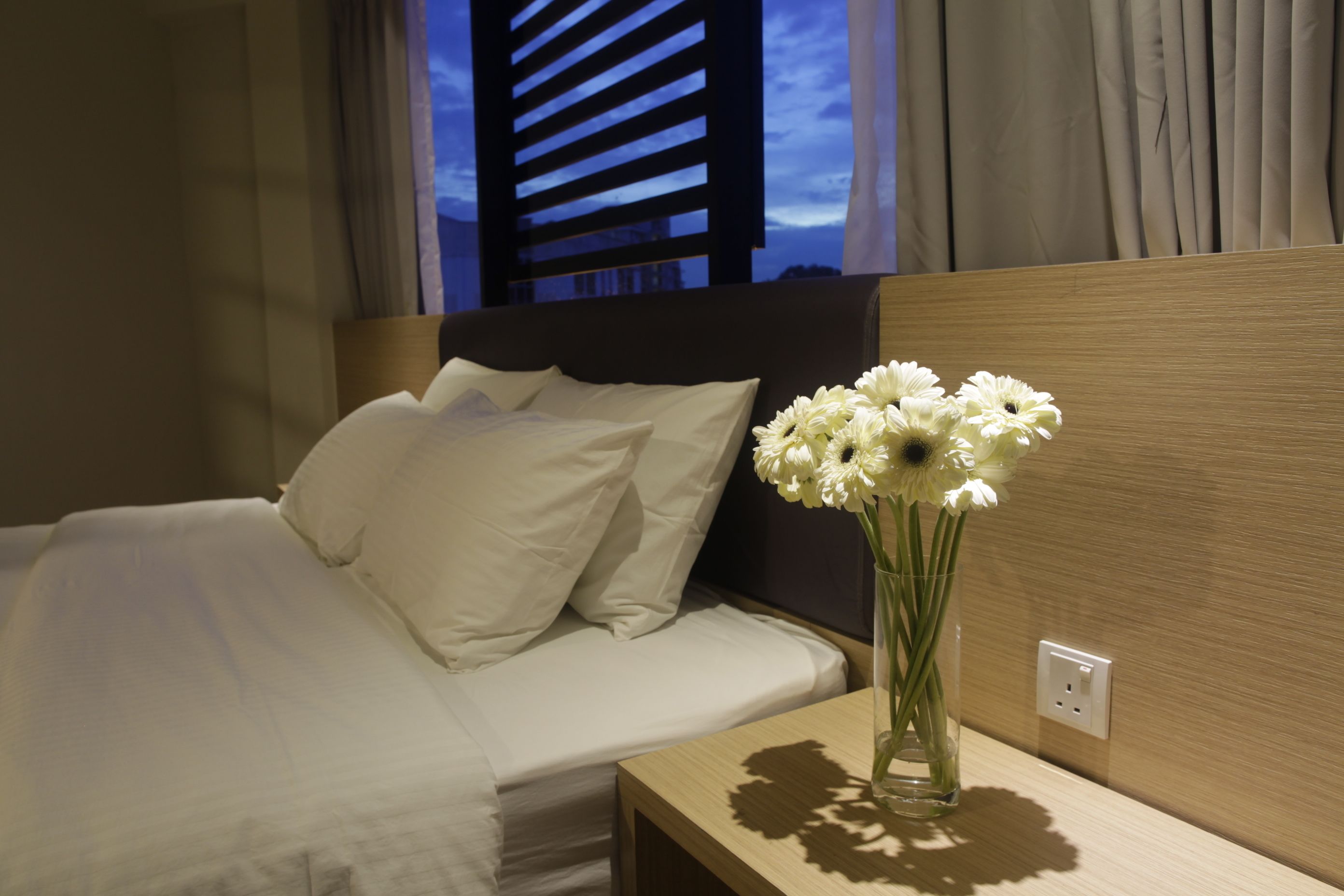 VIP Suite | Desk, soundproofing, free WiFi, bed sheets