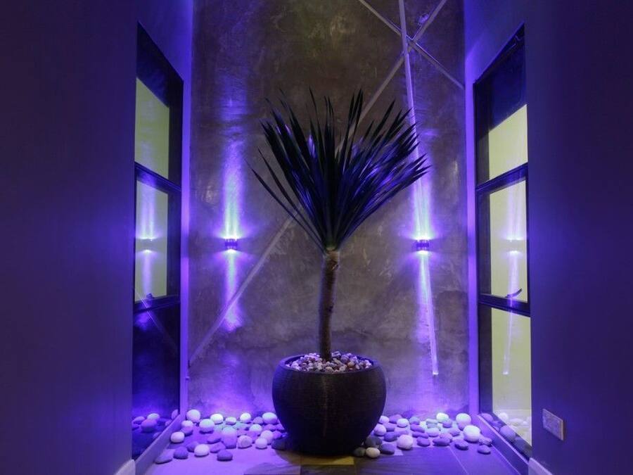 Détail de l’intérieur