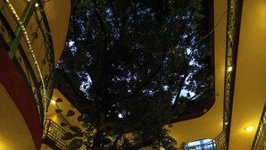 Un atrio de varios niveles con un árbol central, balcones y suelo de piedra.