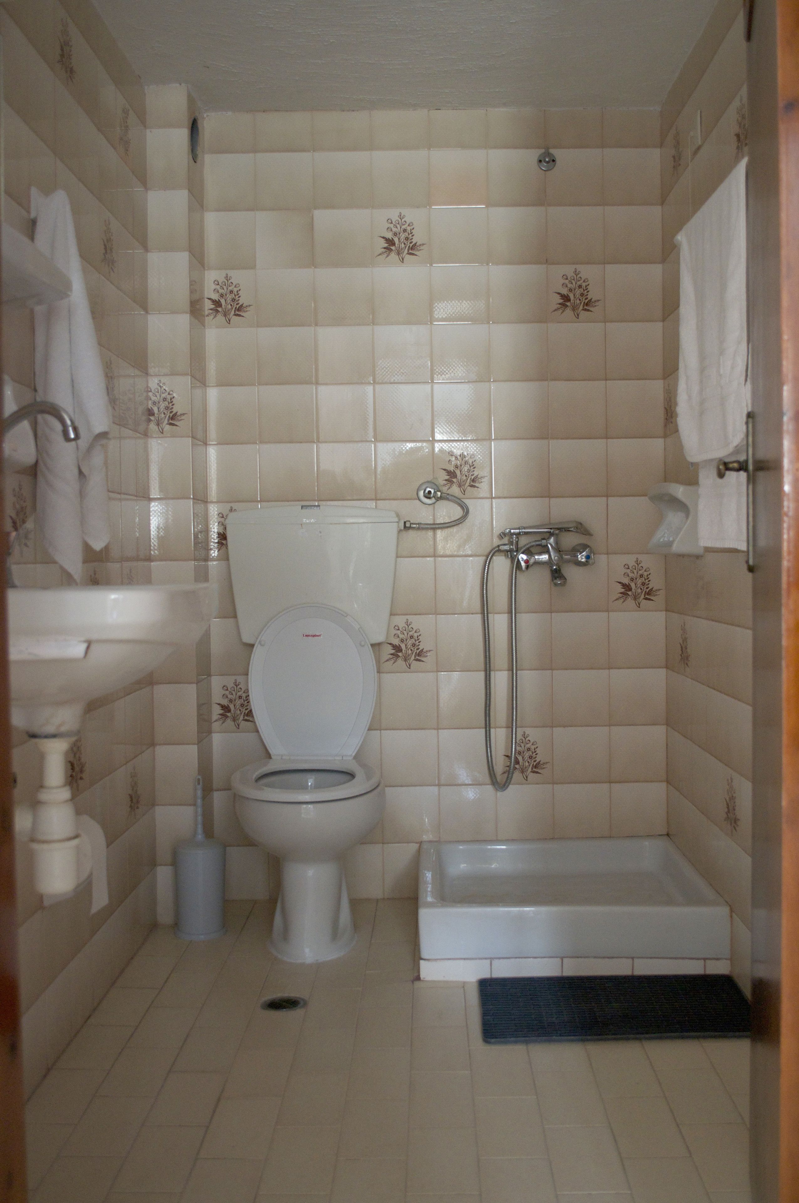 Ein Badezimmer mit Toilette, Waschbecken und Dusche.