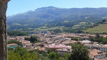 Une ville où se côtoient des bâtiments traditionnels et modernes, entourée de collines et de montagnes verdoyantes.