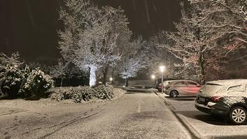 Una calle nevada de noche, con árboles cubiertos de nieve y coches aparcados.