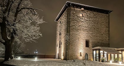 Hotel Torre Zumeltzegi