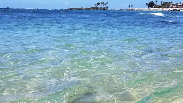 A clear beach with shallow water, a distant island with palm trees, and a clear blue sky. - Pousada Camburi (Morro de Sao Paulo)